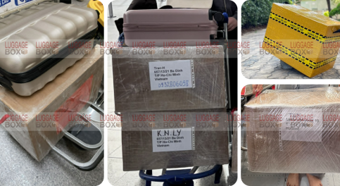 Thùng carton đi máy bay có quai xách - Giải pháp tối ưu cho hành lý ký gửi